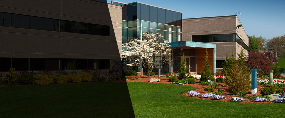 Saint Augustine Landscapers