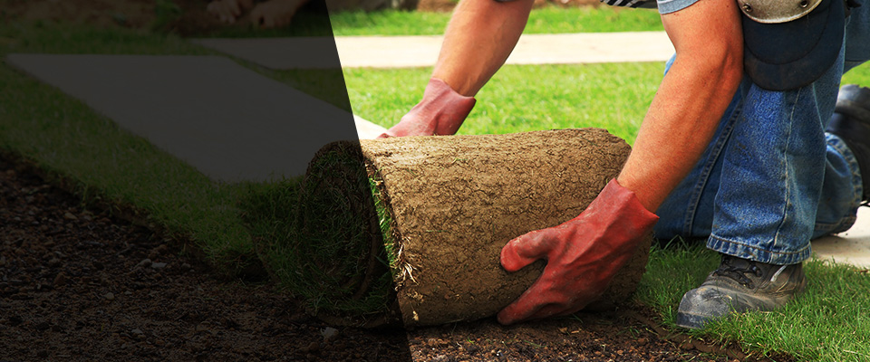 Saint Augustine Landscapers